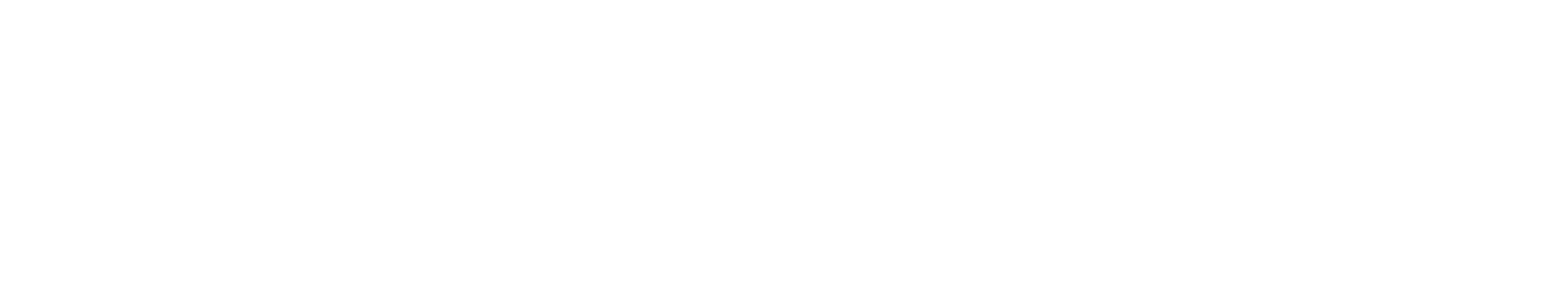 Premier Neurology